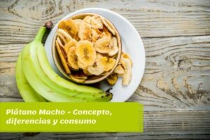 Plátano Macho - Concepto, diferencias y consumo