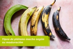 Tipos de plátano macho según su maduración