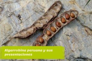 Algarrobina peruana y sus presentaciones